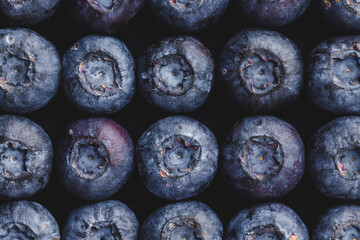 Texture blueberry berries close up. Blueberry background