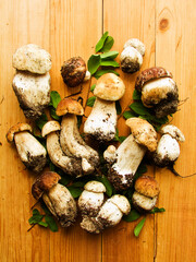 Fresh Cep mushrooms