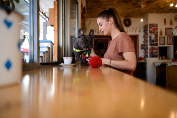 Beautiful girl enjoing her free time, while drinking coffee with her Blue French Bulldog in a cozy pet friendly cafe