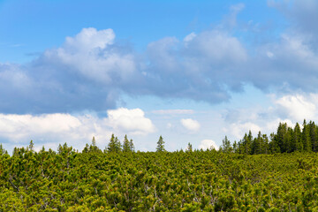 Lovren&scaron;ka jezera Rogla