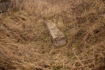 reinforced concrete beam in dry grass in yellow shades