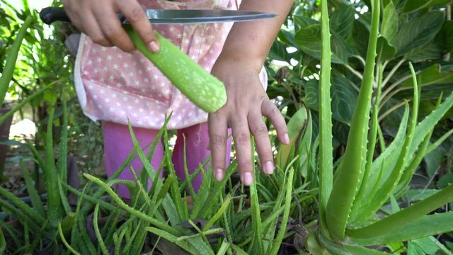 Woman applying aloe vera gel to the skin on the hand.