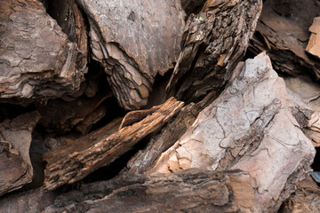 Crushed tree bark texture background closeup.Pieces of trunk. Old tree bark background or texture.Shredded brown tree bark for decoration