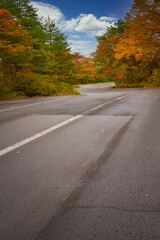 road way for travel with autumn colorful leaf season
