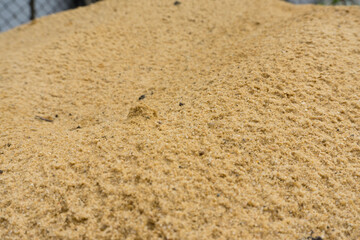 Close up sand background. Sunny sand texture
