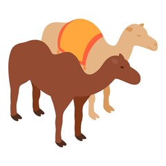 Camel icon. Isometric illustration of camel vector icon for web