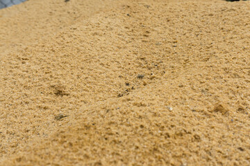 Close up sand background. Sunny sand texture