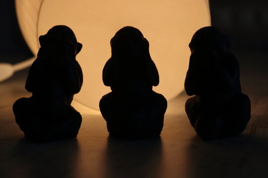 monitos