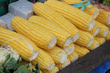 Newly harvested corn and sold in traditional markets