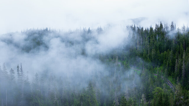 Misty windy mountain forest road © David