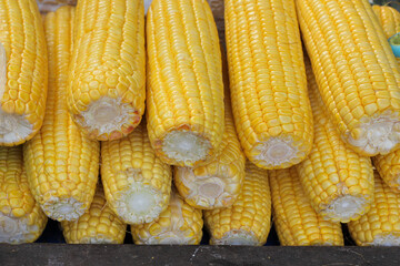 Newly harvested corn and sold in traditional markets