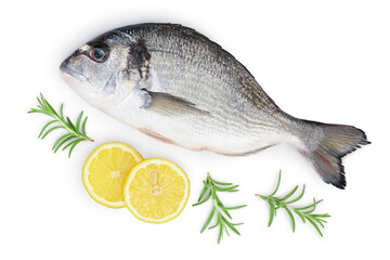 Fish dorado isolated on white background with clipping path and full depth of field. Top view. Flat lay