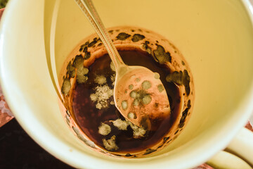 moldy coffee in cup