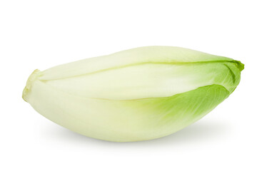 Chicory salad isolated on white background with clipping path and full depth of field.