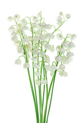 Naklejka na ściany i meble Lilly of the valley flowers isolated on white background with clipping path and full depth of field