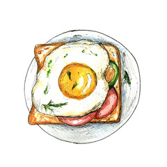 watercolor food illustration of an egg on toast
