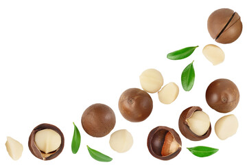 macadamia nuts isolated on white background. Top view with copy space for your text.. Flat lay. - obrazy, fototapety, plakaty