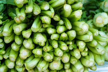 Close-up of a bunch of green onions in a store window