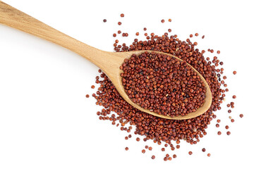 red quinoa seeds in wooden spoon isolated on white background with clipping path and full depth of field. Top view. Flat lay