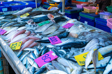 Fresh seafood on the counter at the fish market by the ocean.
