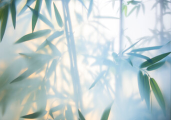 Green bamboo in the fog with stems and leaves behind frosted glass