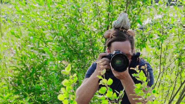 photographer takes pictures in nature with an iguana on his shoulder