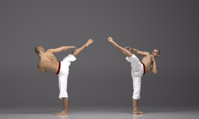 3d Render: a man pose an action with China martial Arts Styles, Kung Fu