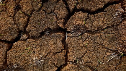 Close up view, the texture of the cracked rice soil due to lack of water