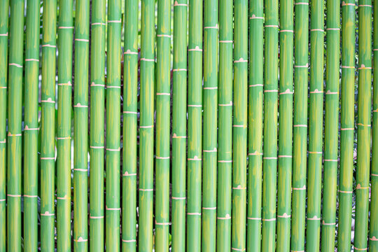 Green Bamboo Background and texture