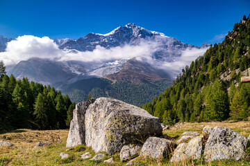 Seine Majestät, der Ortler!