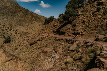 Beautiful landscape and hardscape at Morocco