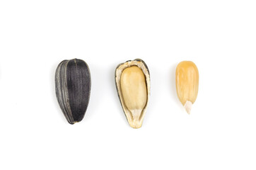 The process of peeling sunflower seeds on a white background. Peel. Core. The structure of the seeds from the inside. Isolated.