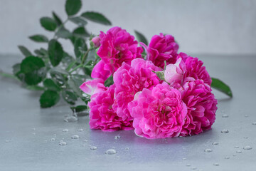 pink rose branch on the table