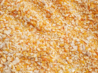 dried corn seed for background, corn for animal feed