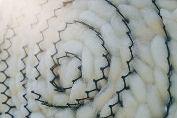 Close up to natural white silkworm cocoon shell in black plastic weave tray. Silkworm cocoon background.