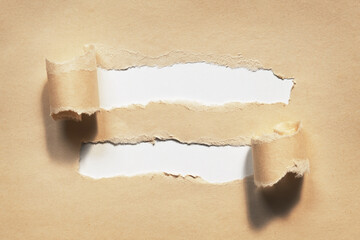 Ripped brown paper. Two holes with rolled torn edges on white paper background
