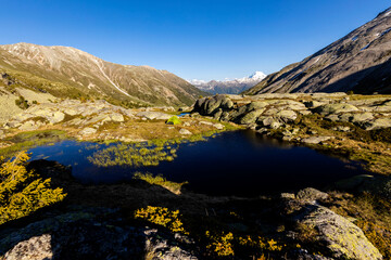Fototapeta premium Bergsee Cruschetta mit Ortler im Hintergrund