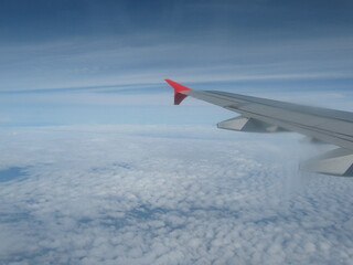 wing of the plane
