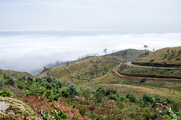 Rural mountain road lost in clouds of Madeira island