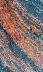 Sea stone texture. Panel texture. Background fill. Natural stone background.