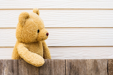 Brown cute teddy bear standing behind the old wooden fence.
