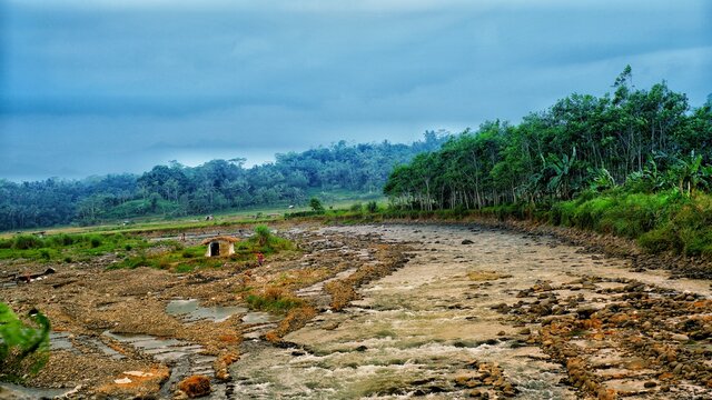 Rice Terraces In Purbalingga