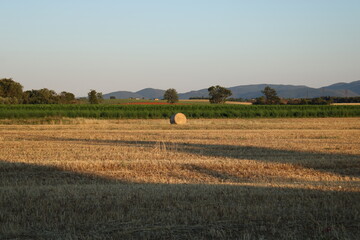 Fototapeta na wymiar rural landscape with hay bales