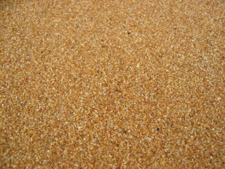 Fototapeta na wymiar wet sand background