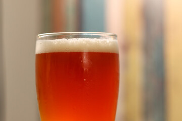 American India Pale Ale craft beer homebrew