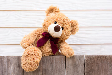 One brown cute teddy bear climbing on the old wooden fence with yellow wood background. Copy space for text.