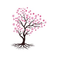 Fototapeta na wymiar Sakura Beauty flower Vector icon