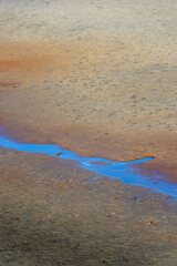 Vivid, metallic blue stream of water running across a multi-coloured, iridescent sandy beach, Abel Tasman, New Zealand