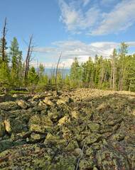 The taiga and alpine tundra - stone deposits, fragments of rock, boulders