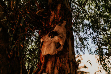 Beautiful landscape and hardscape at Morocco